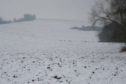 Silvestrovský pochod do Hradčovic - 31.12.2010